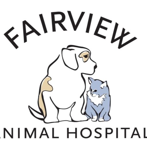 Best Veterinary Hospital In Maryville, TN | Fairview Animal Hospital