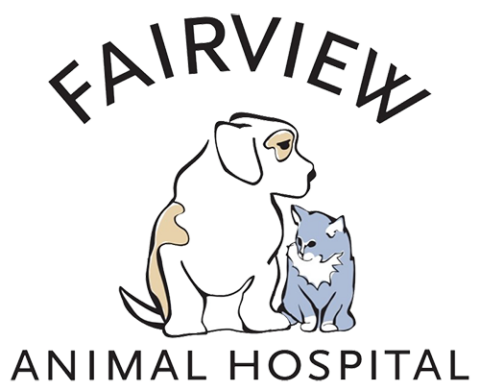 Maryville, TN Veterinary Services | Fairview Animal Hospital