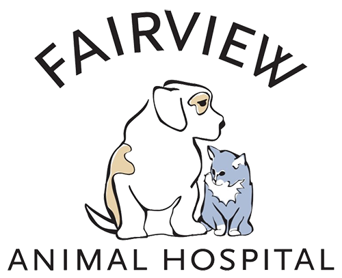 Best Veterinary Hospital In Maryville, TN | Fairview Animal Hospital