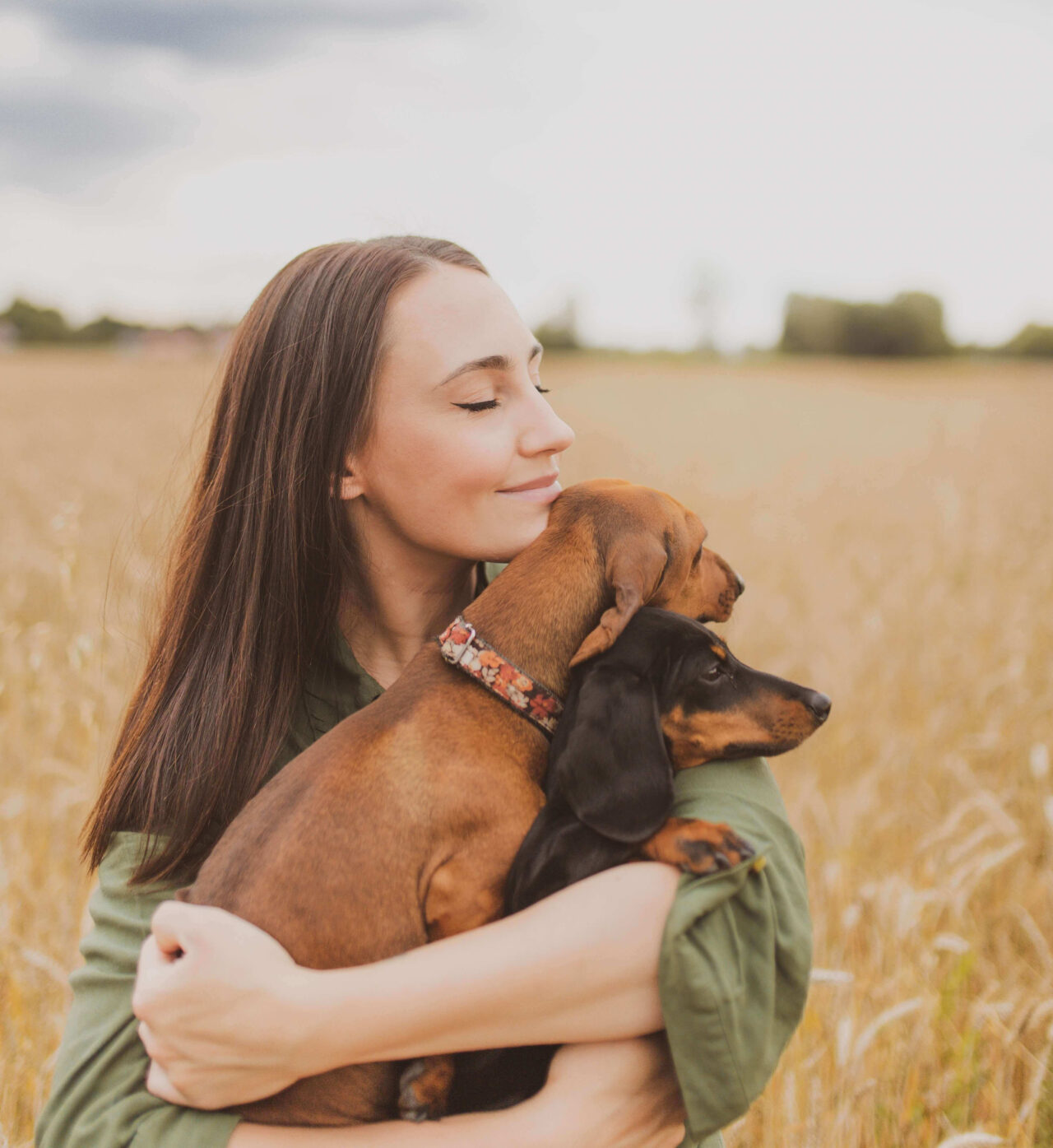 About Fairview Animal Hospital Vet In Maryville, TN 37801