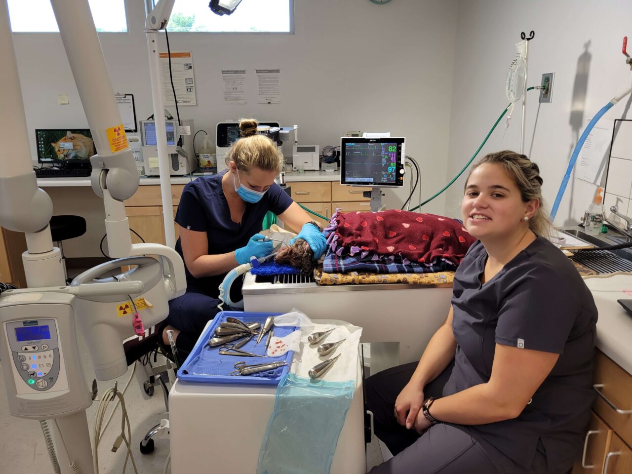 Fairview Animal Hospital Patient Gallery Vet Clinic In Maryville, TN