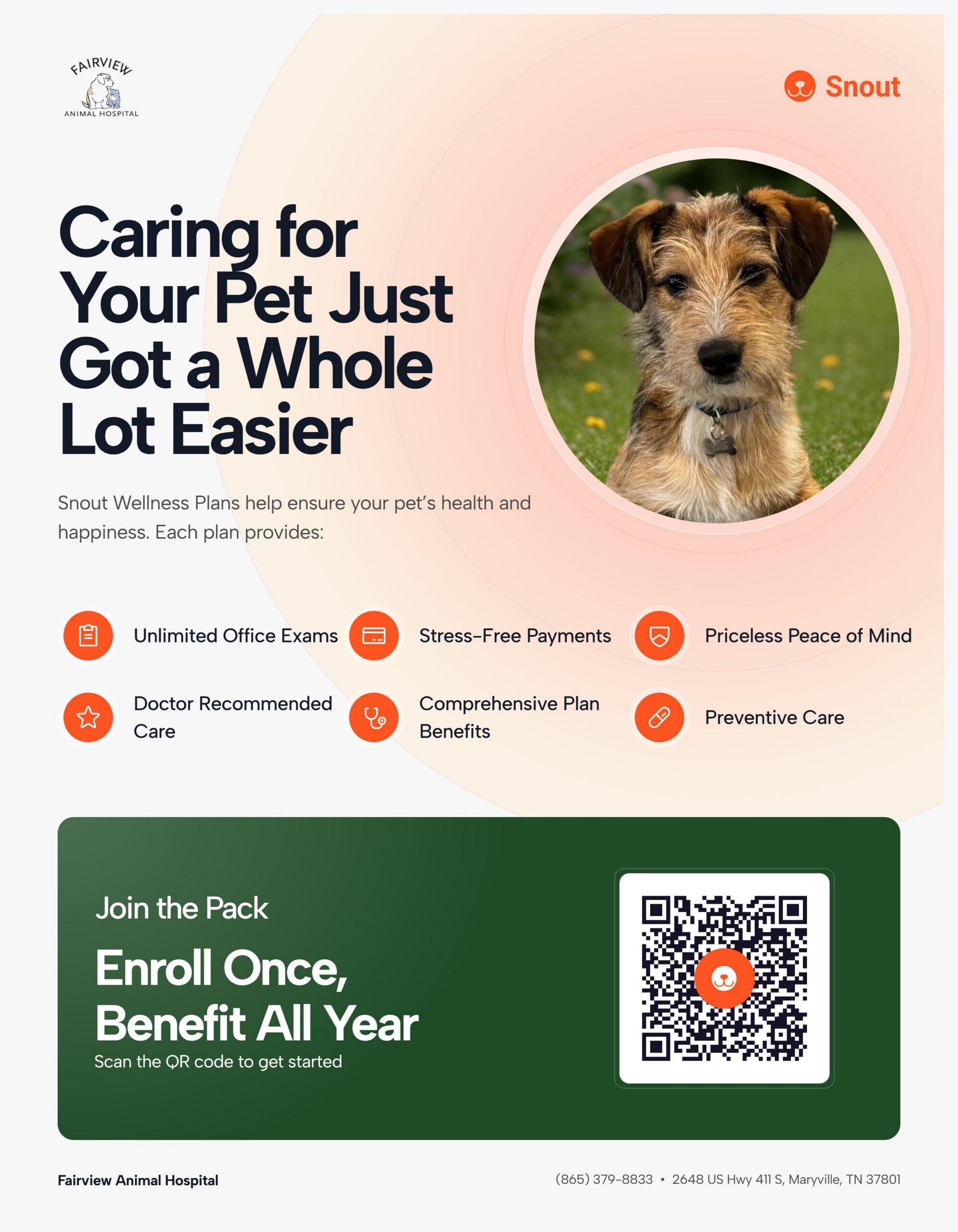 Snout Wellness Plans graphics